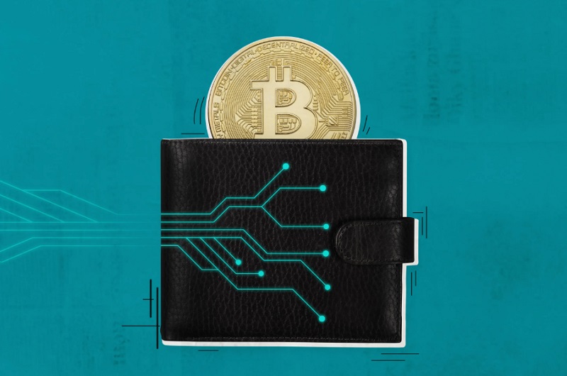 Hot Wallets vs. Cold Wallets: Risks and Benefits in 2025–2026