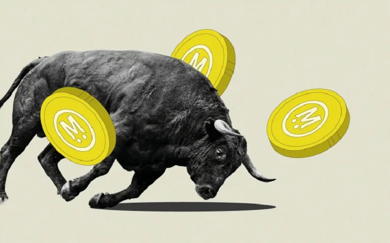 MegaETH Explained: What It Is and Why the MEGA Token Is Suddenly Everywhere