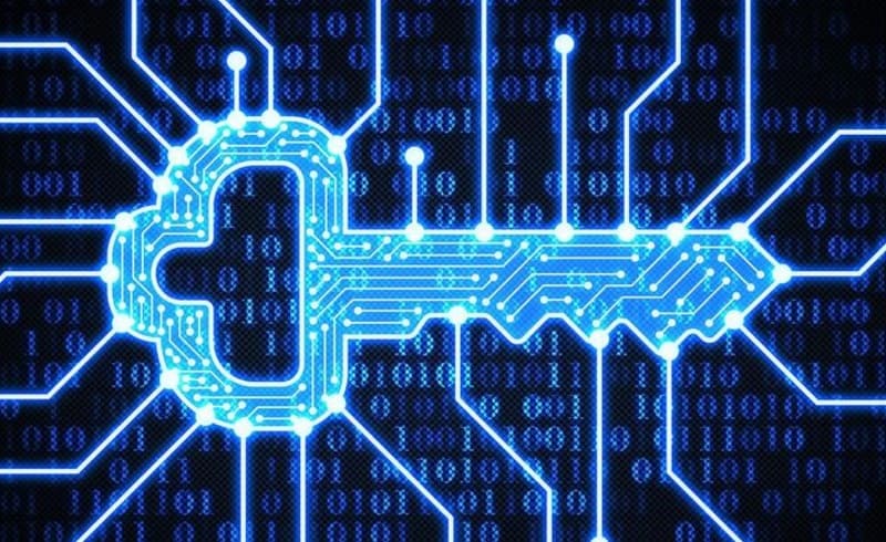 MetaMask Money Account 2026: Is the Wallet Becoming a Full Financial Service?