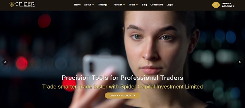 Spider Forex