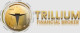 Trillium Financial Broker logo
