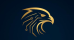 Falcon Markets logo